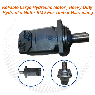 BMV Reliable Large Heavy Duty Hydraulic Motor | Timber Harvesting